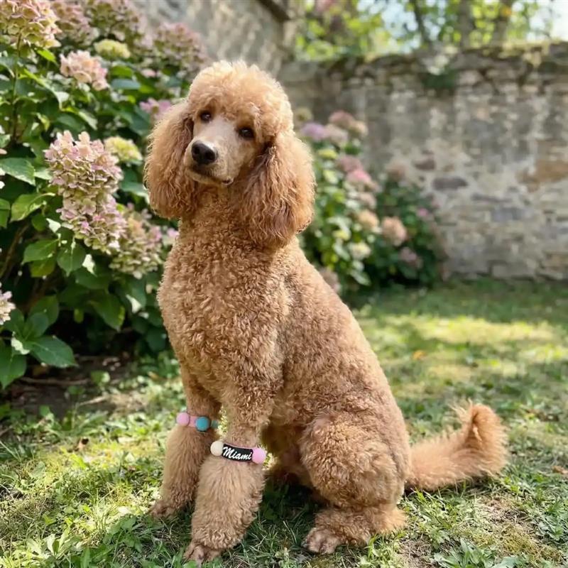 Training Facility Photo