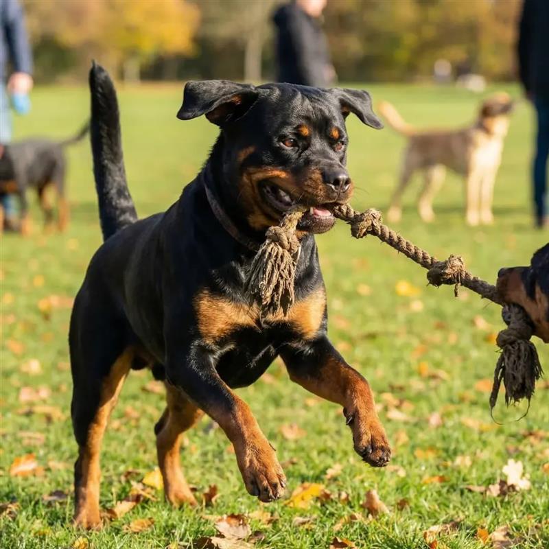 Matthew Moore - Owner Photo